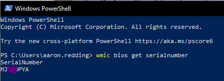 PowerShell Serial Number Results